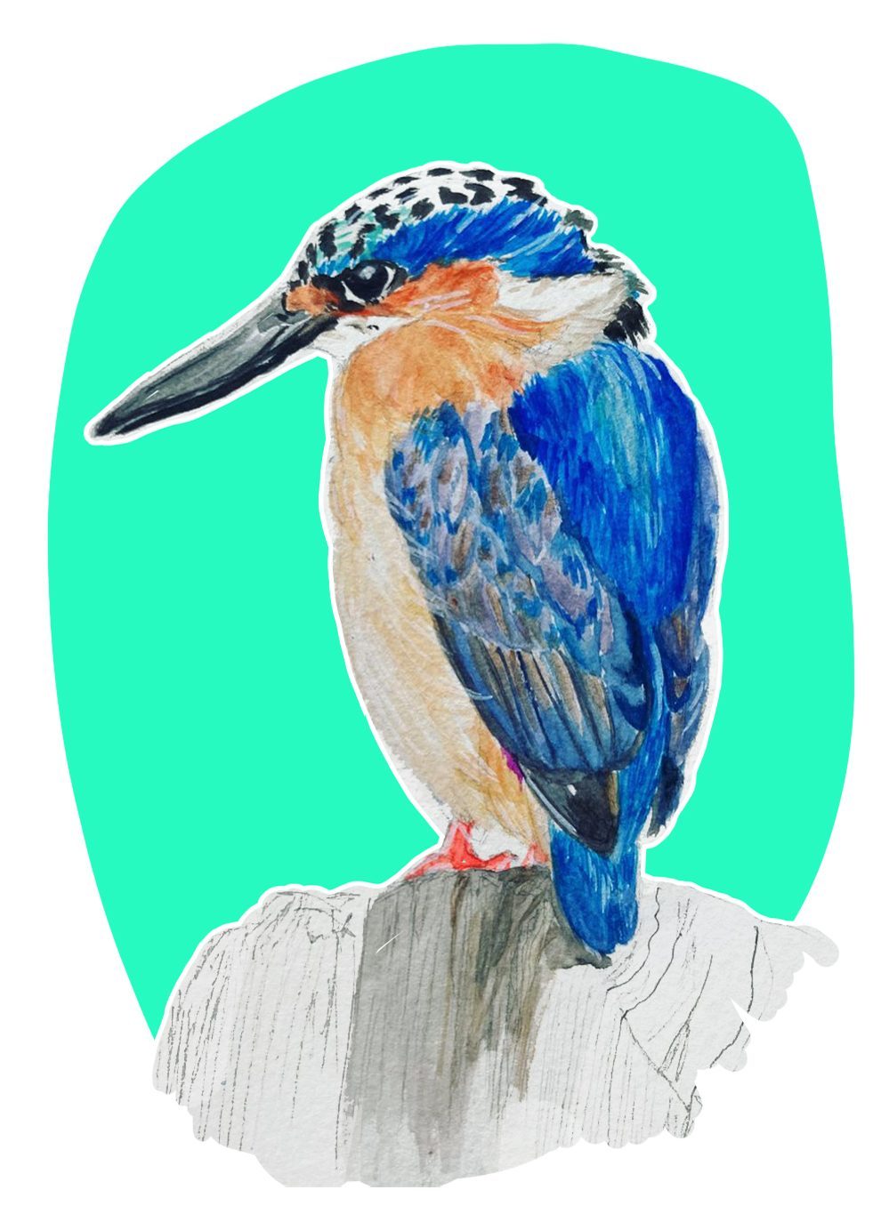 Martin pecheur