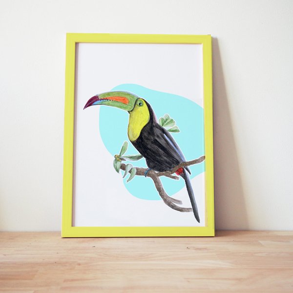 Illustration Toucan encadrée