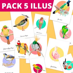 5 illus - Pack personnalisé