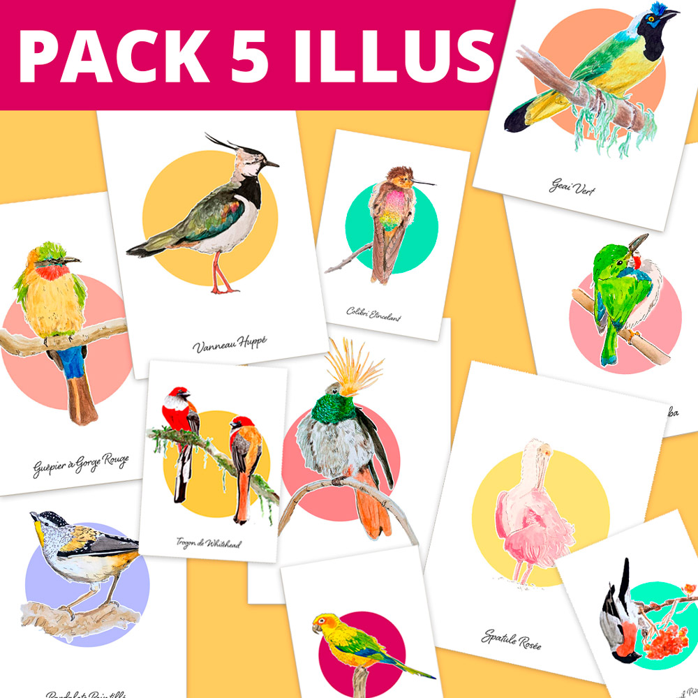 5 illus - Pack personnalisé